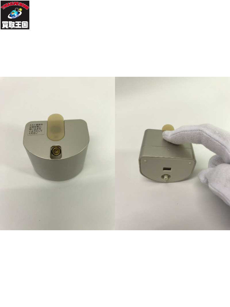 ヤーマン エイジングケアスチーマー IS-101N IS-100N 理美容家電