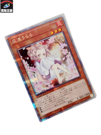 灰流うらら PAC1/JP016SPSE 遊戯王
