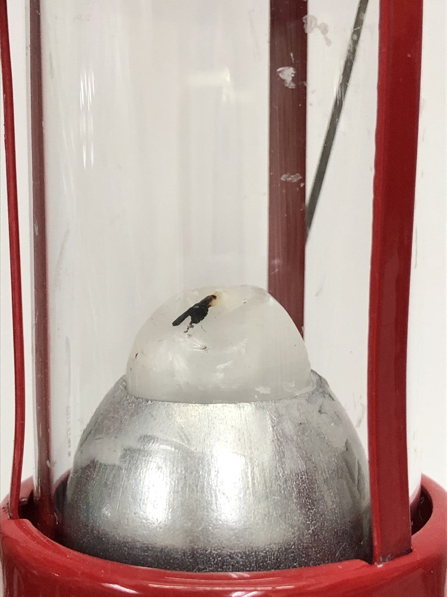 UCO/キャンドルランタン 小物・その他