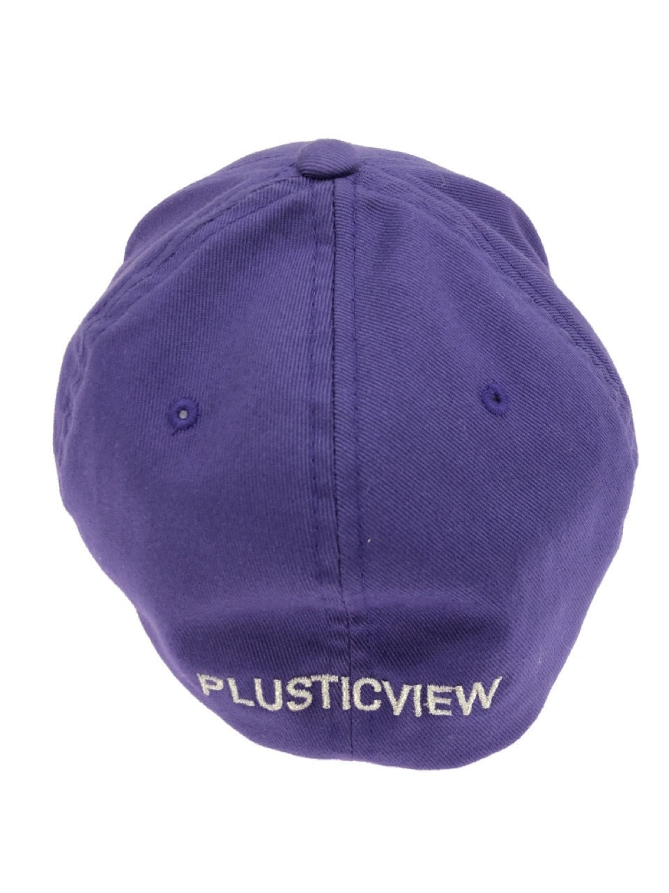 その他帽子 plustic view/6PANNEL CAP/PPL