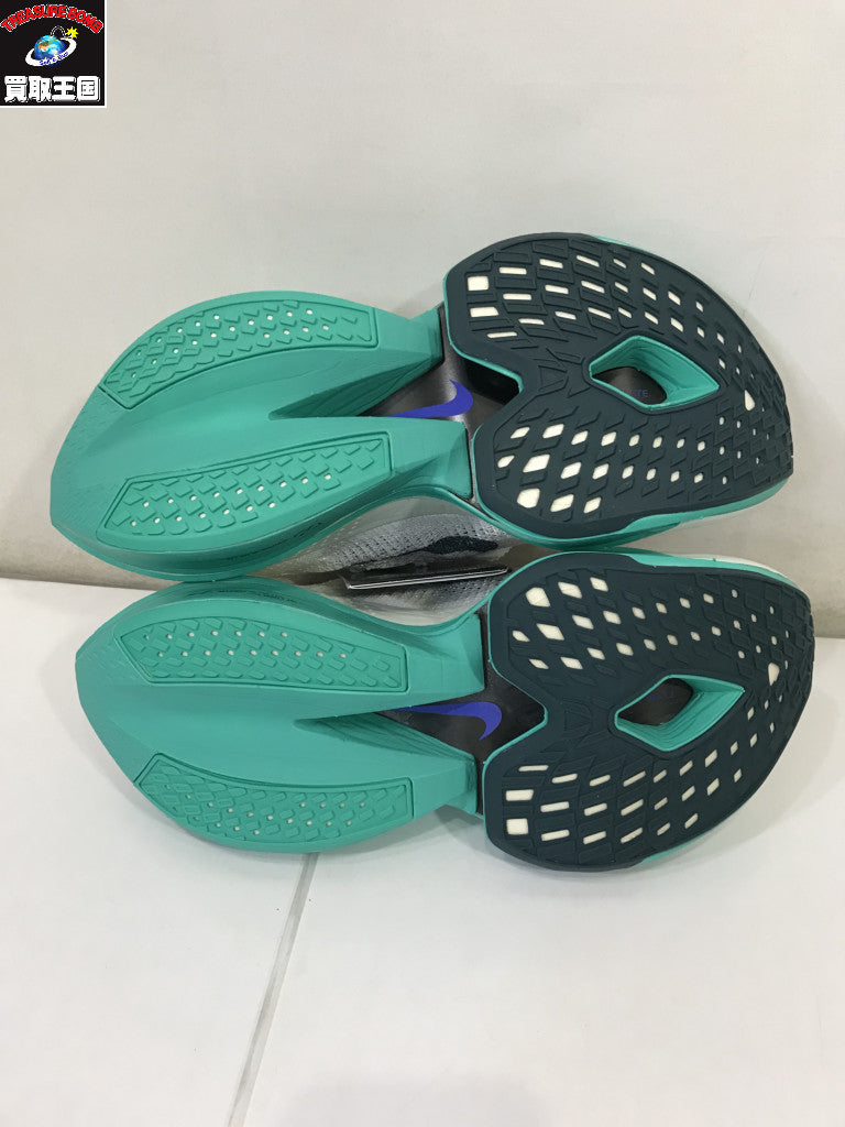 その他靴 NIKE/W Alphafly 2/DN3559-100