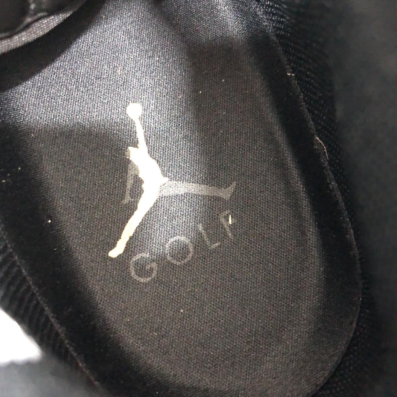 スニーカー NIKE AIR JORDAN 1 HIGH G 26.0cm DQ0660-700 26cm (US8 UK7 1/2 EU42)
