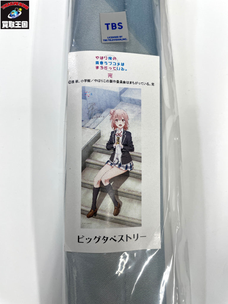 俺ガイル BIGタペストリー 結衣 階段 銀色サイン フィギュア/グッズ
