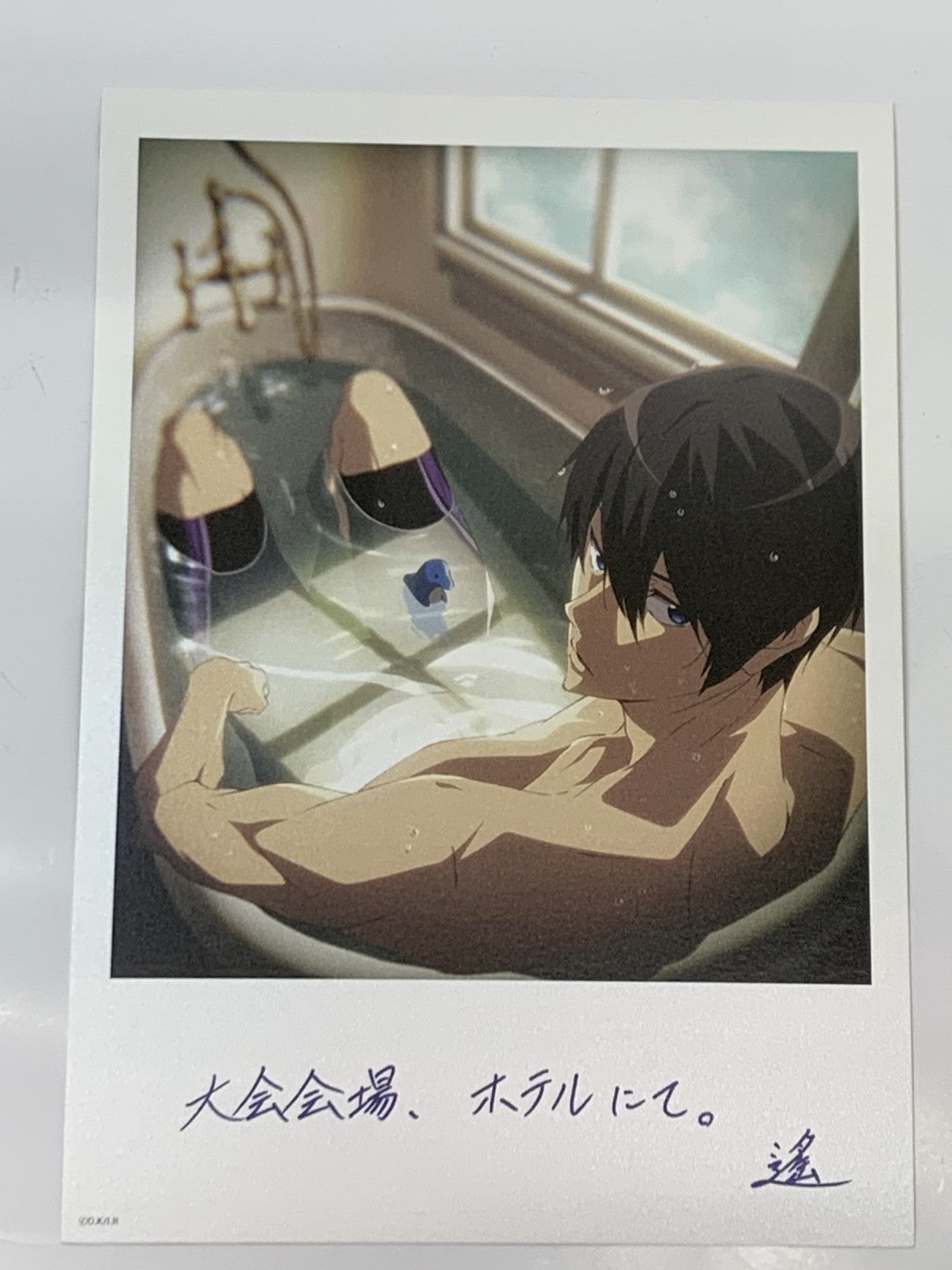 劇場版Free! 夢 ペア前売券特典 A5イラストカード フィギュア/グッズ