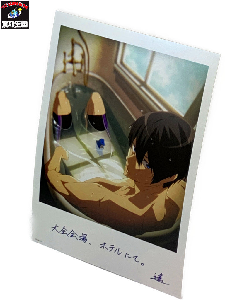劇場版Free! 夢 ペア前売券特典 A5イラストカード フィギュア/グッズ