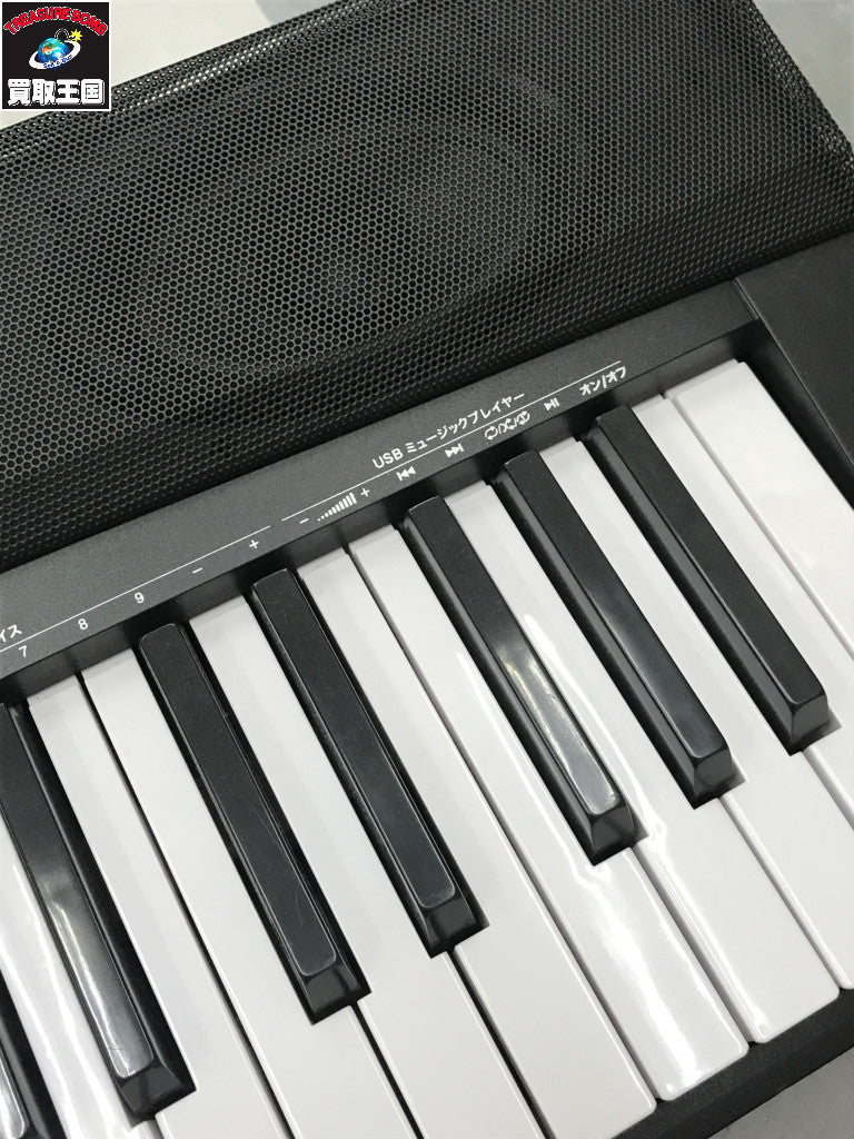 TORTE 電子ピアノ TDP-88 本体のみ TDP-88 その他楽器