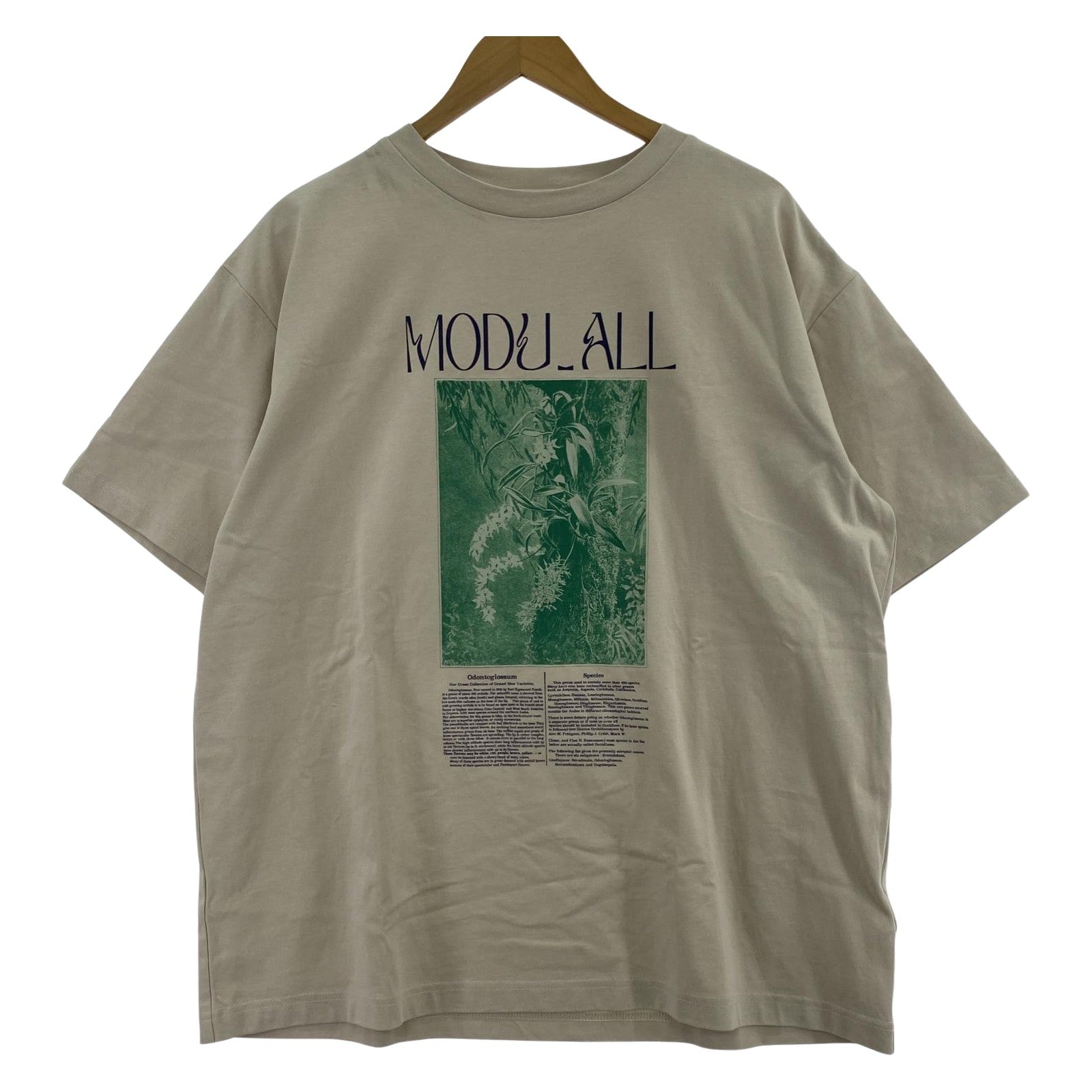その他トップス AMERI 24SS CONCEPT PRINT TEE F ベージュ