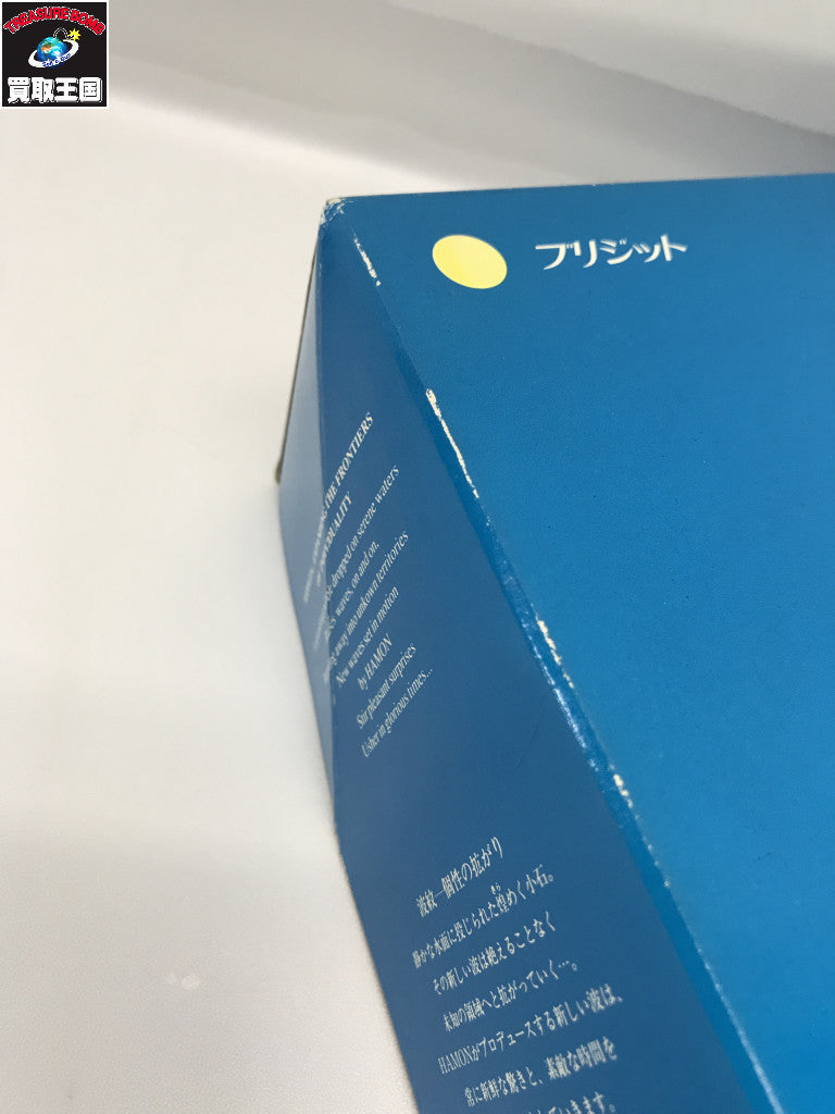 ブリジットフェニックス ドールその他