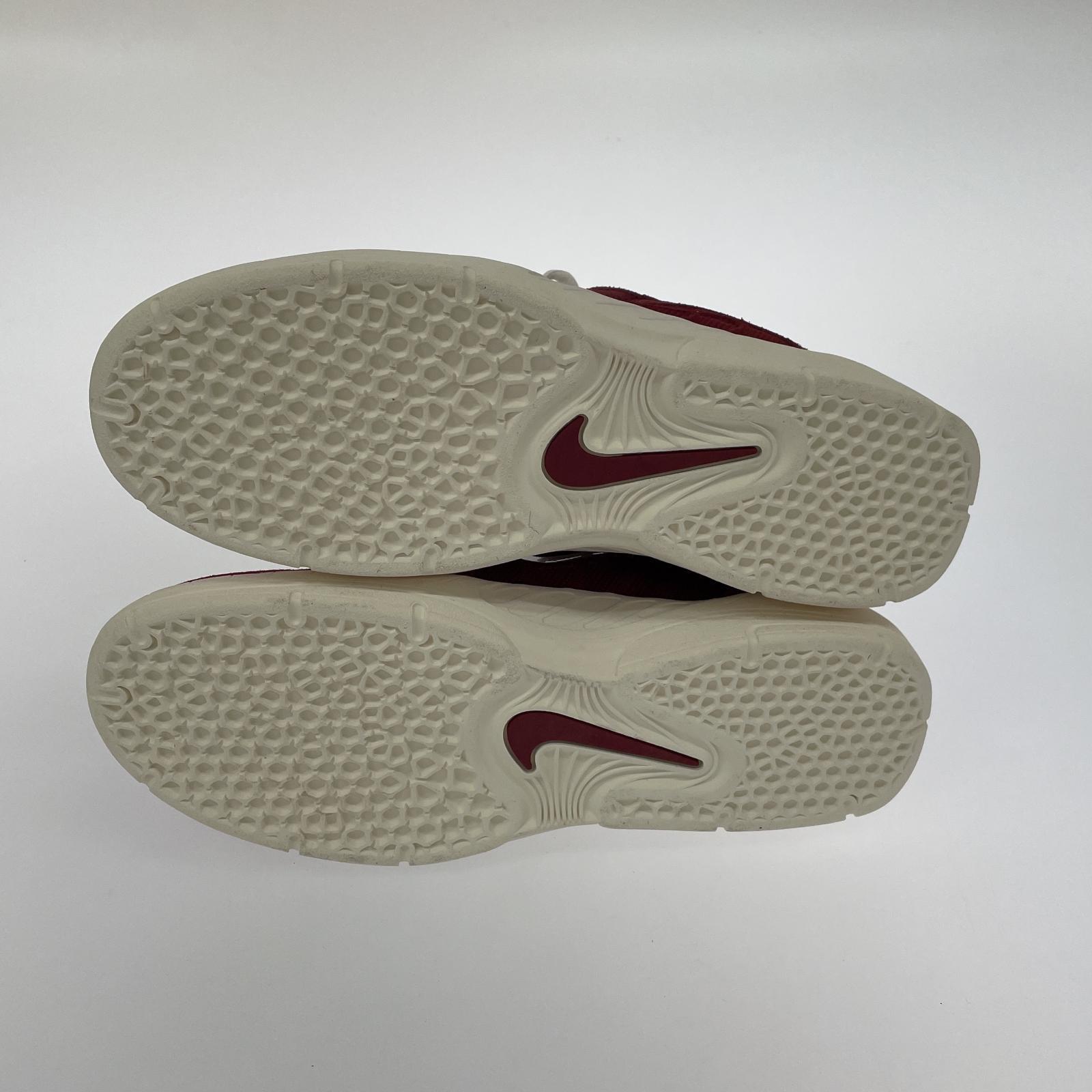 スニーカー NIKE/VERTEBRAE/29.0cm/FD4691-600
