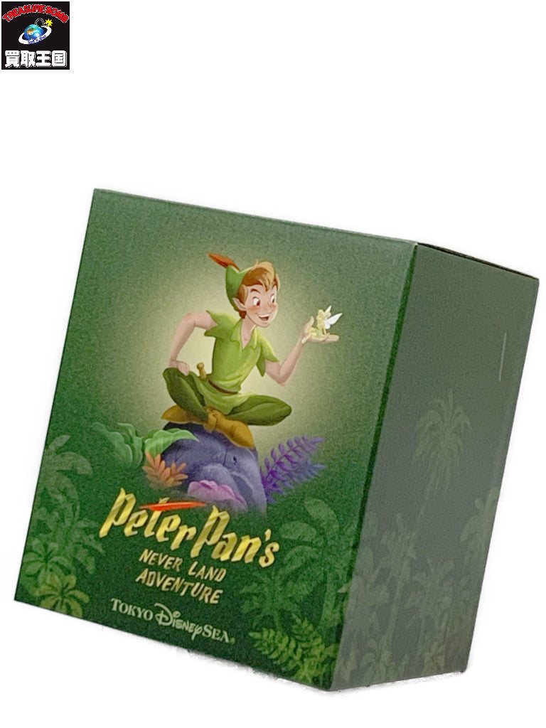 ディズニーシー ピーターパン ネバーランドアドベンチャー フィギュア フィギュア/グッズ