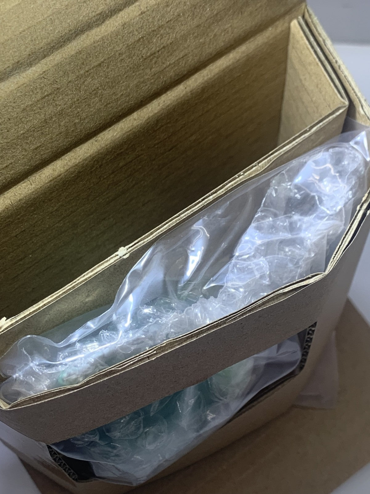 爬虫類&両生類 D賞 レプタイルズヘッドマグネット その他小物