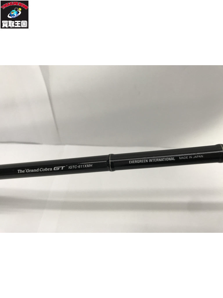 エバーグリーン カレイド インスピラーレ IGTC-611XMH その他ロッド
