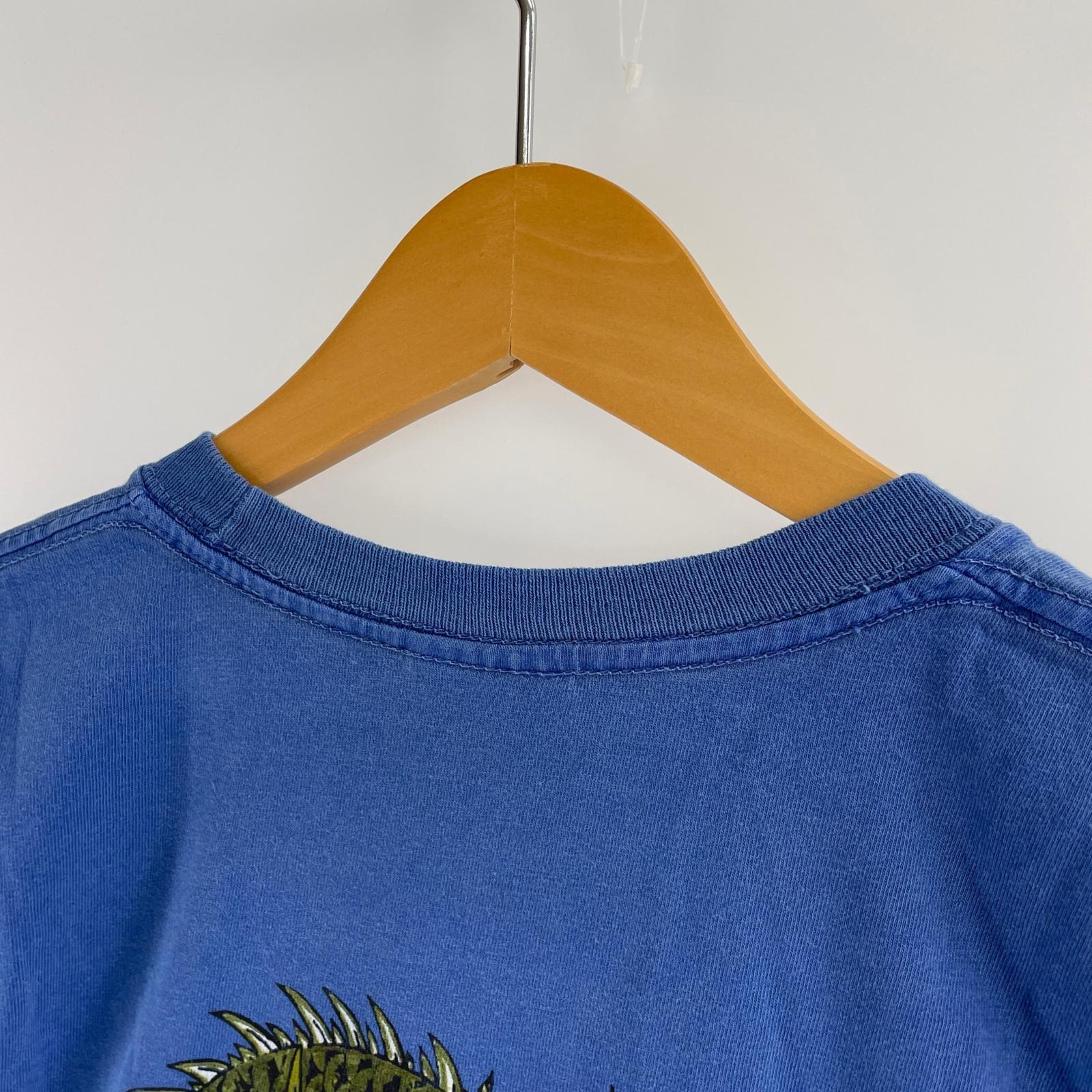 その他トップス STUSSY FIRE DRAGON PIG DYE Tシャ ブルー