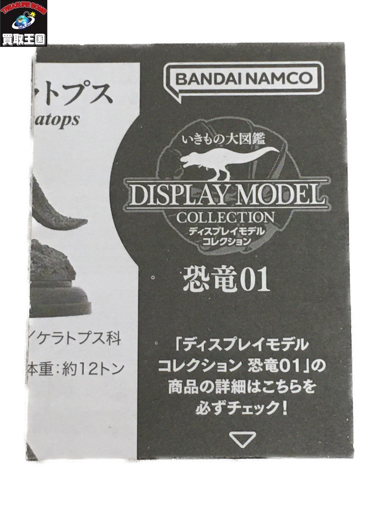いきもの大図鑑 恐竜01 ディスプレイモデル その他小物
