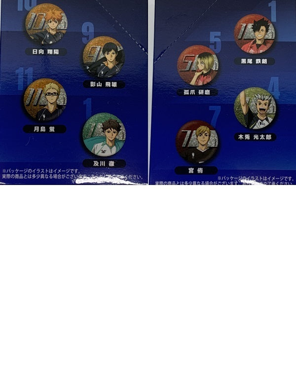 ハイキュー 挑戦者達 TD CAN BADGE 未開封BOX フィギュア/グッズ