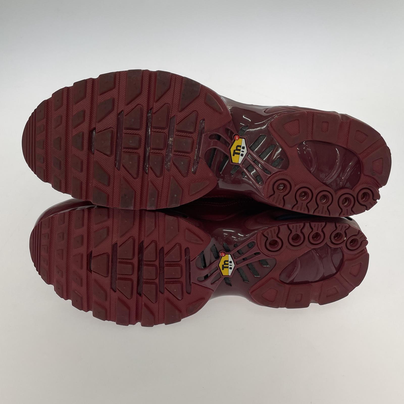 スニーカー NIKE AIR MAX PLUS RED 29.0cm