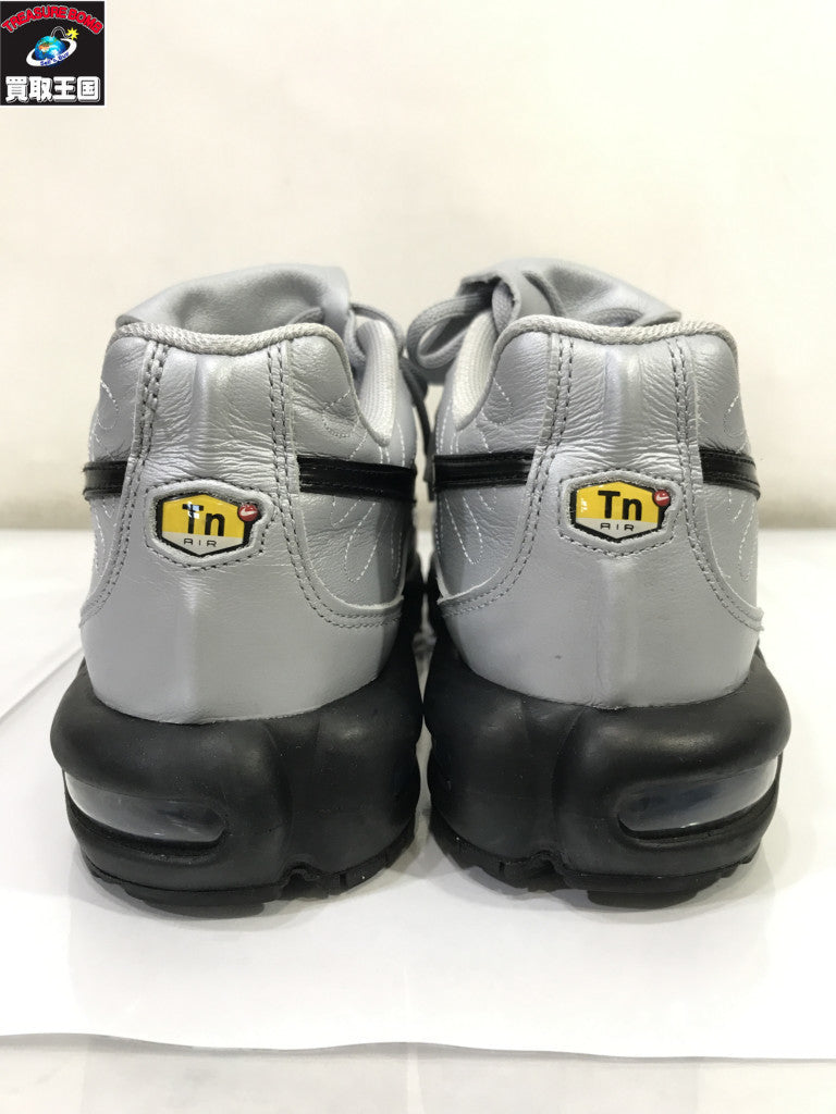 スニーカー AIR MAX PLUS TIEMPO
