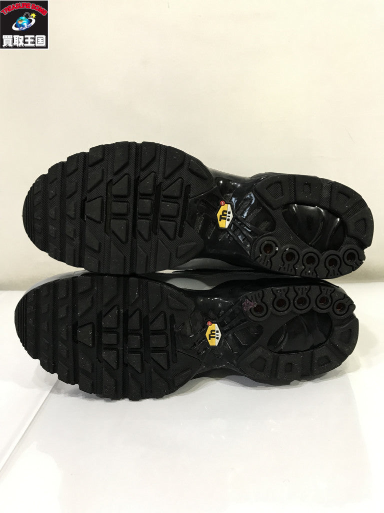 スニーカー AIR MAX PLUS TIEMPO