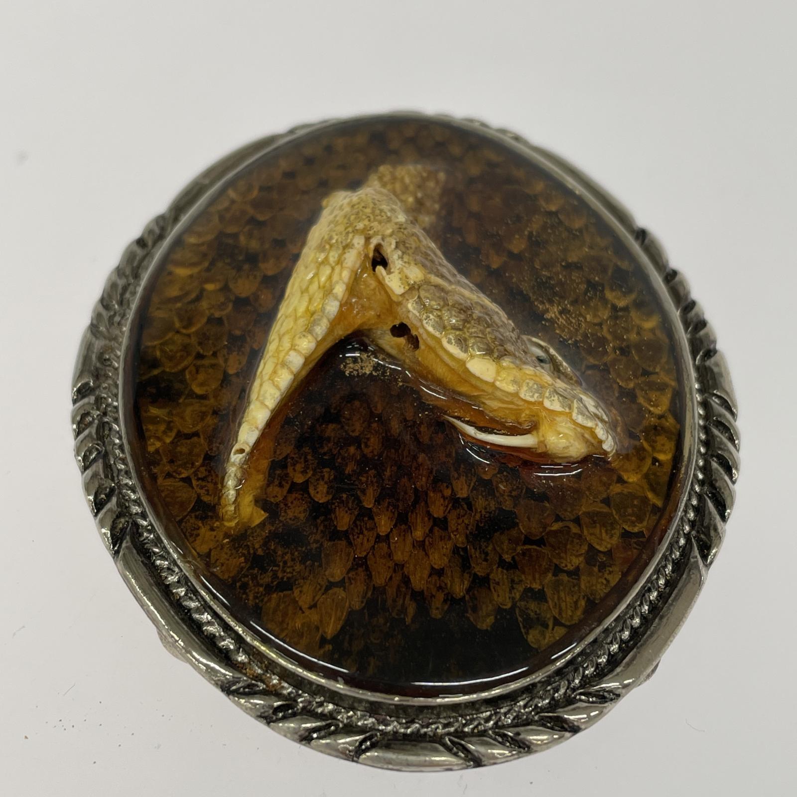 その他アクセサリー DIAMONDBACK ヘビ剥製 バックル