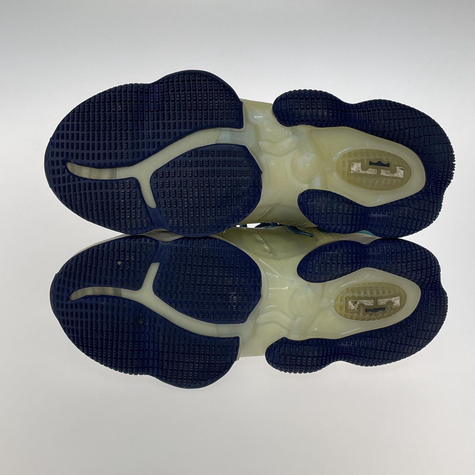 スニーカー NIKE LEBRON 19 レブロン 19 (28.5cm) DC9338-100 28.5cm (US10 1/2 UK10 EU47) ホワイト