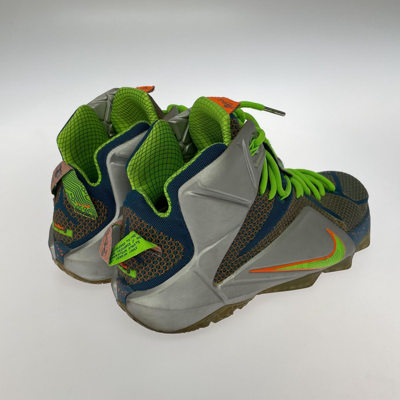 スニーカー NIKE LEBRON XII PRM マルチカラー 705410-430 (29cm) 29cm (US11 UK10 1/2 EU48)