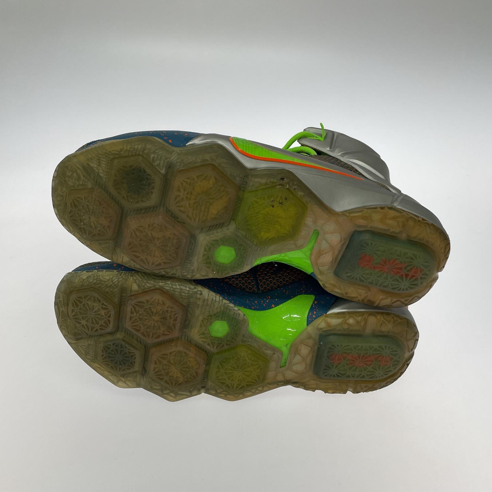 スニーカー NIKE LEBRON XII PRM マルチカラー 705410-430 (29cm) 29cm (US11 UK10 1/2 EU48)