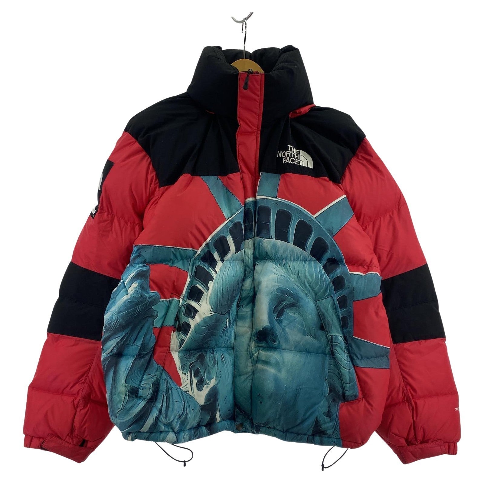 その他アウター Supreme× THE NORTH FACE. STATU M