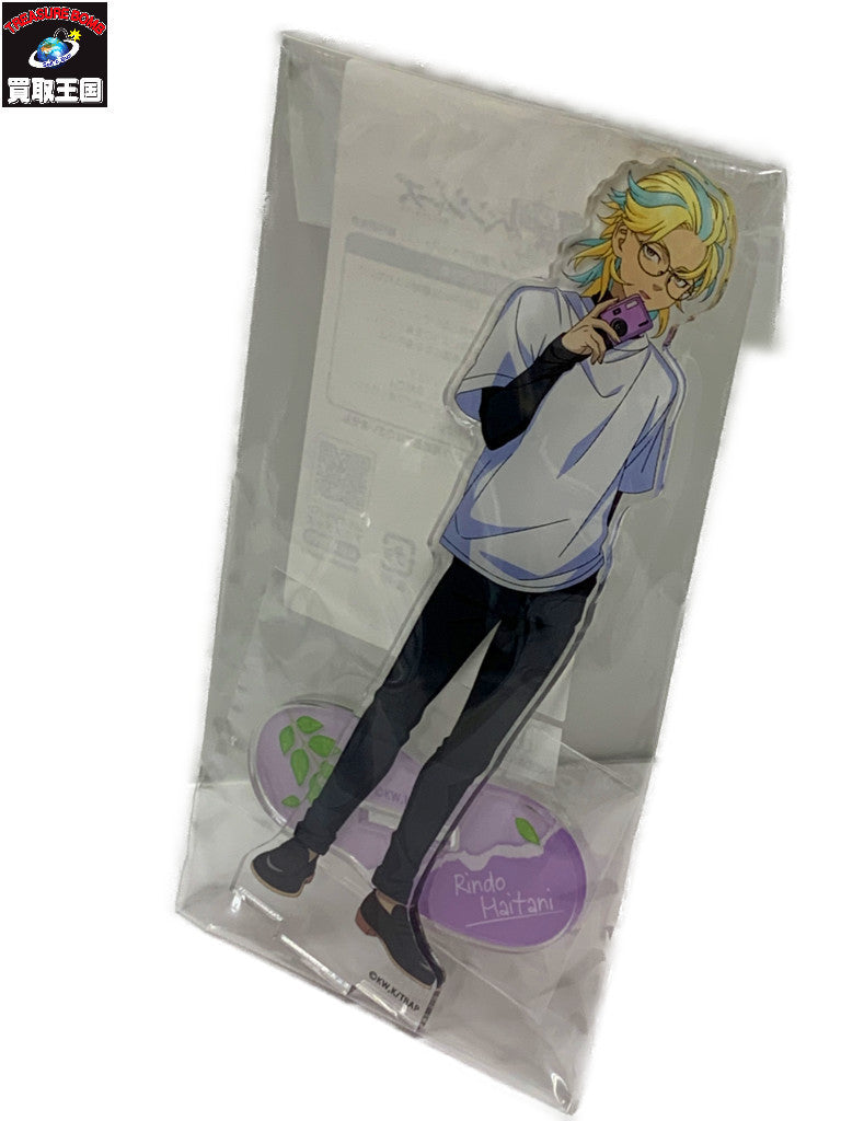 東リベ アクリルスタンド 灰谷竜胆 カメラさんぽ フィギュア/グッズ