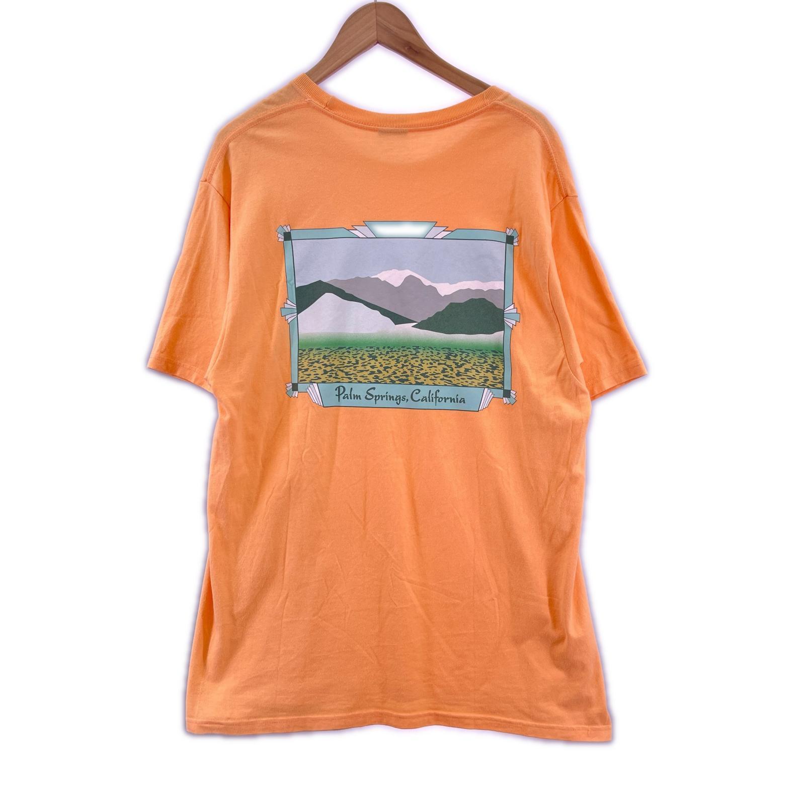 その他トップス STUSSY S/Sカットソー メキシコ製 L L オレンジ