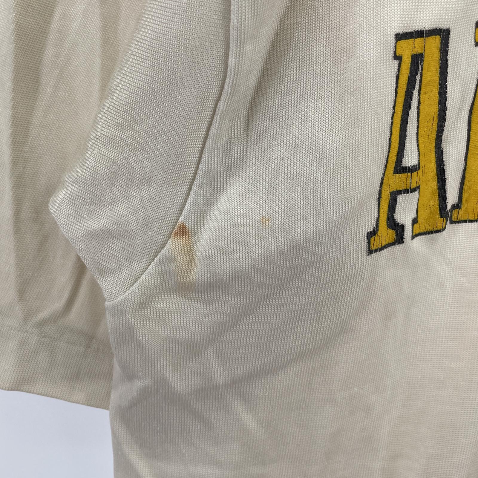 半袖Tシャツ 80s トリコタグ Vネック M ホワイト