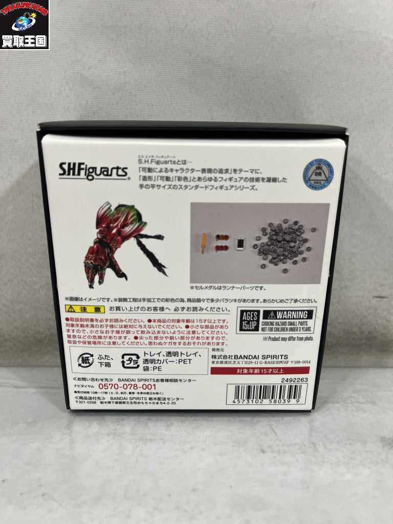 S.H.Figuarts 真骨彫 アンク フィギュア/グッズ