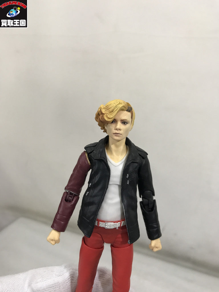 S.H.Figuarts 真骨彫 アンク(人間態) フィギュア/グッズ