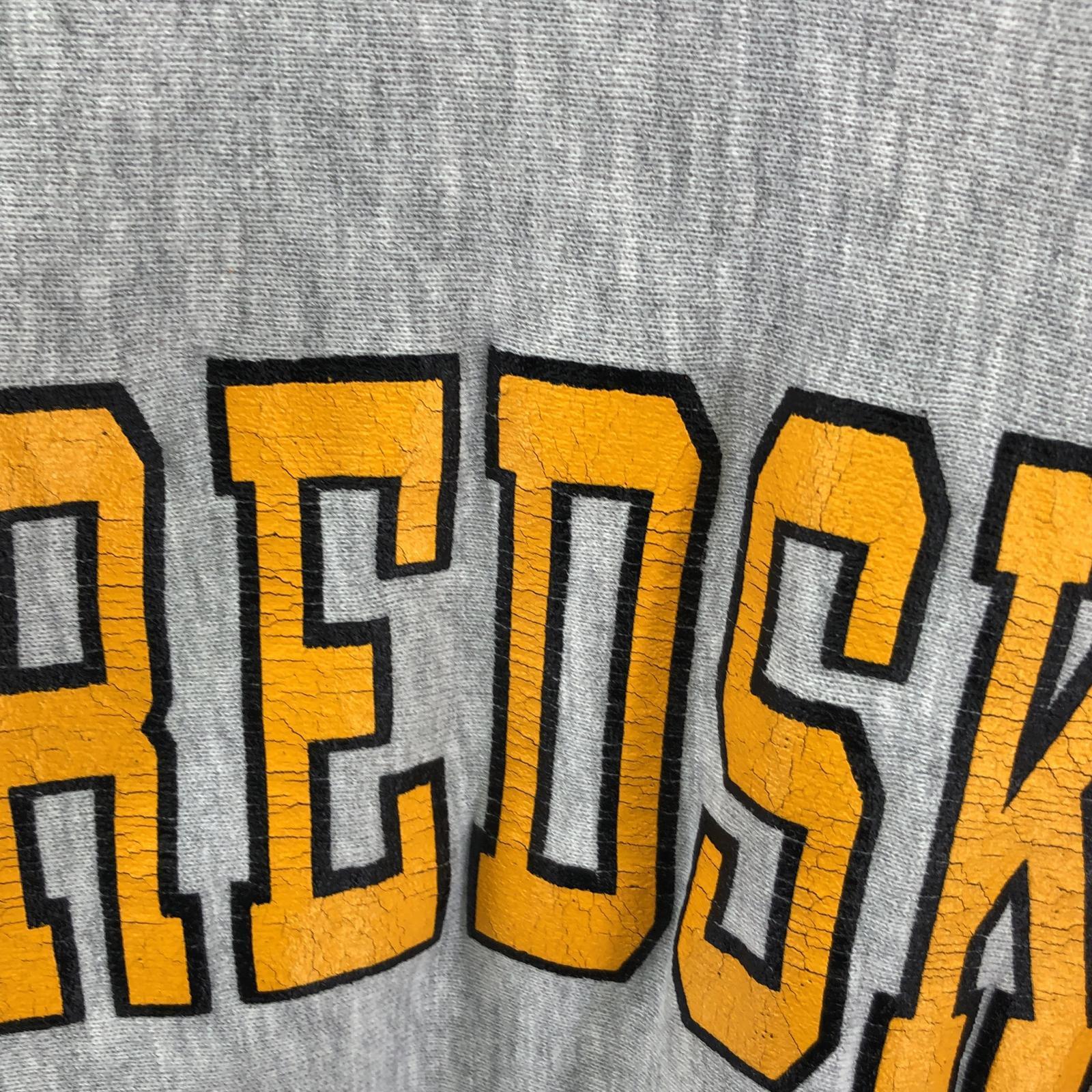 スウェット 90s USA製 RW REDSKINS(M)GRY M グレー