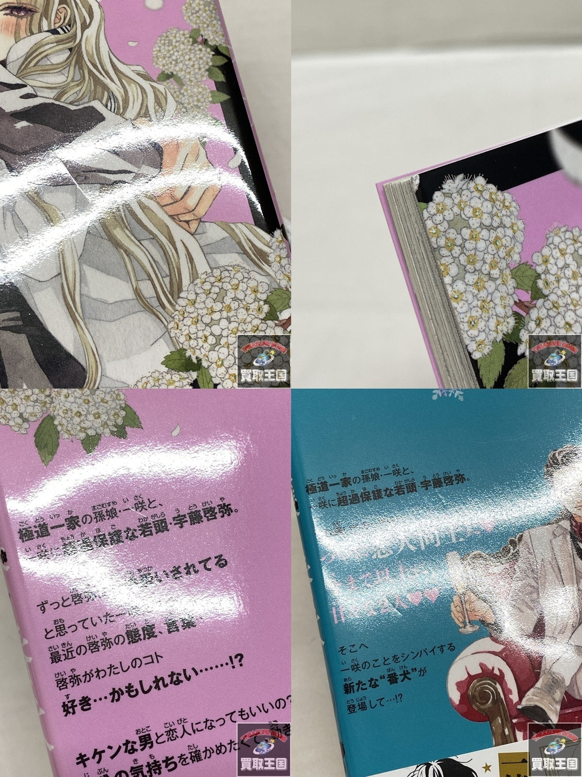 お嬢と番犬くん 全9巻セット フィギュア/グッズ