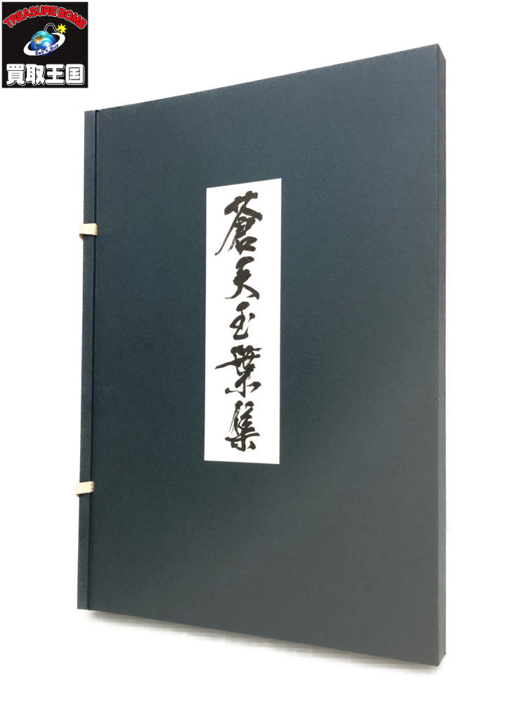 蒼天の拳 蒼天玉葉集 フィギュア/グッズ
