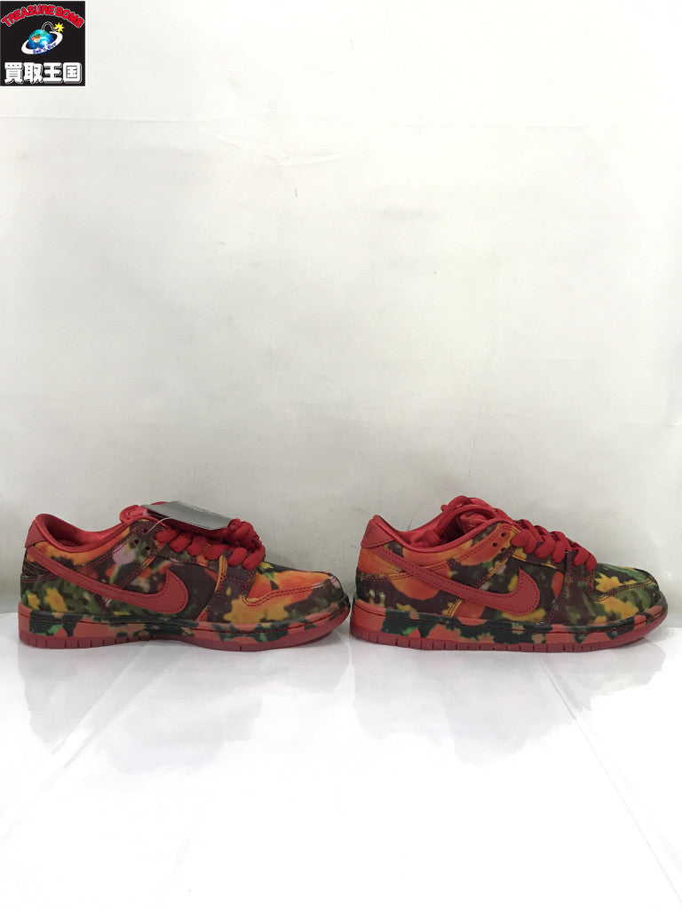 スニーカー 23.5 The Wizard of Oz × Nike SB Dunk Lo