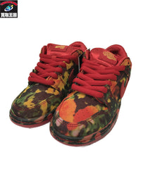 スニーカー 23.5 The Wizard of Oz × Nike SB Dunk Lo