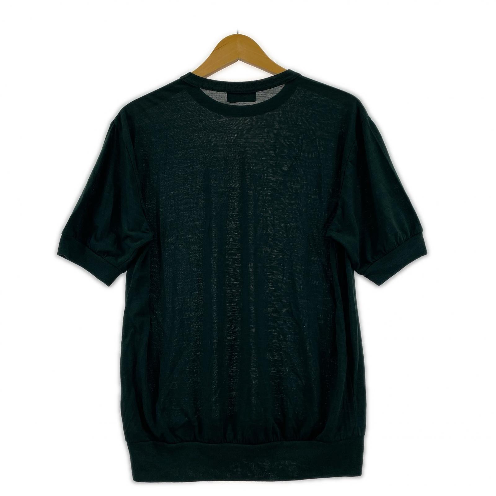 半袖Tシャツ ウール 井鳥(3) 3 グリーン