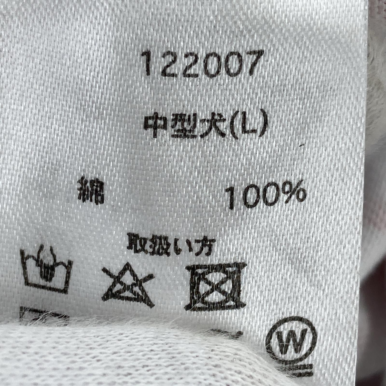 半袖Tシャツ GALFY 炎上大学 Tee 白 (M) L ホワイト