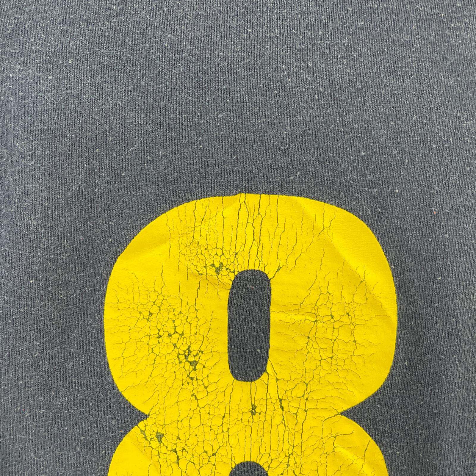 半袖Tシャツ カナダ空軍士官候補生隊 80周年記念