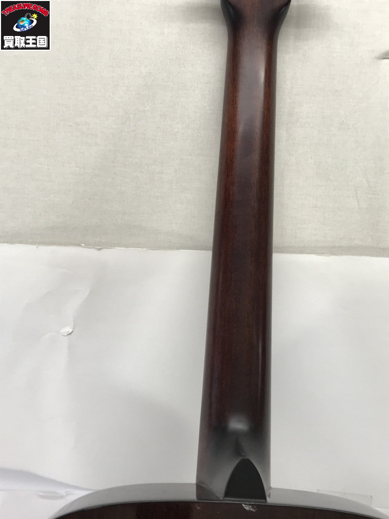 Aria Dreadnought/af-25bs ギター