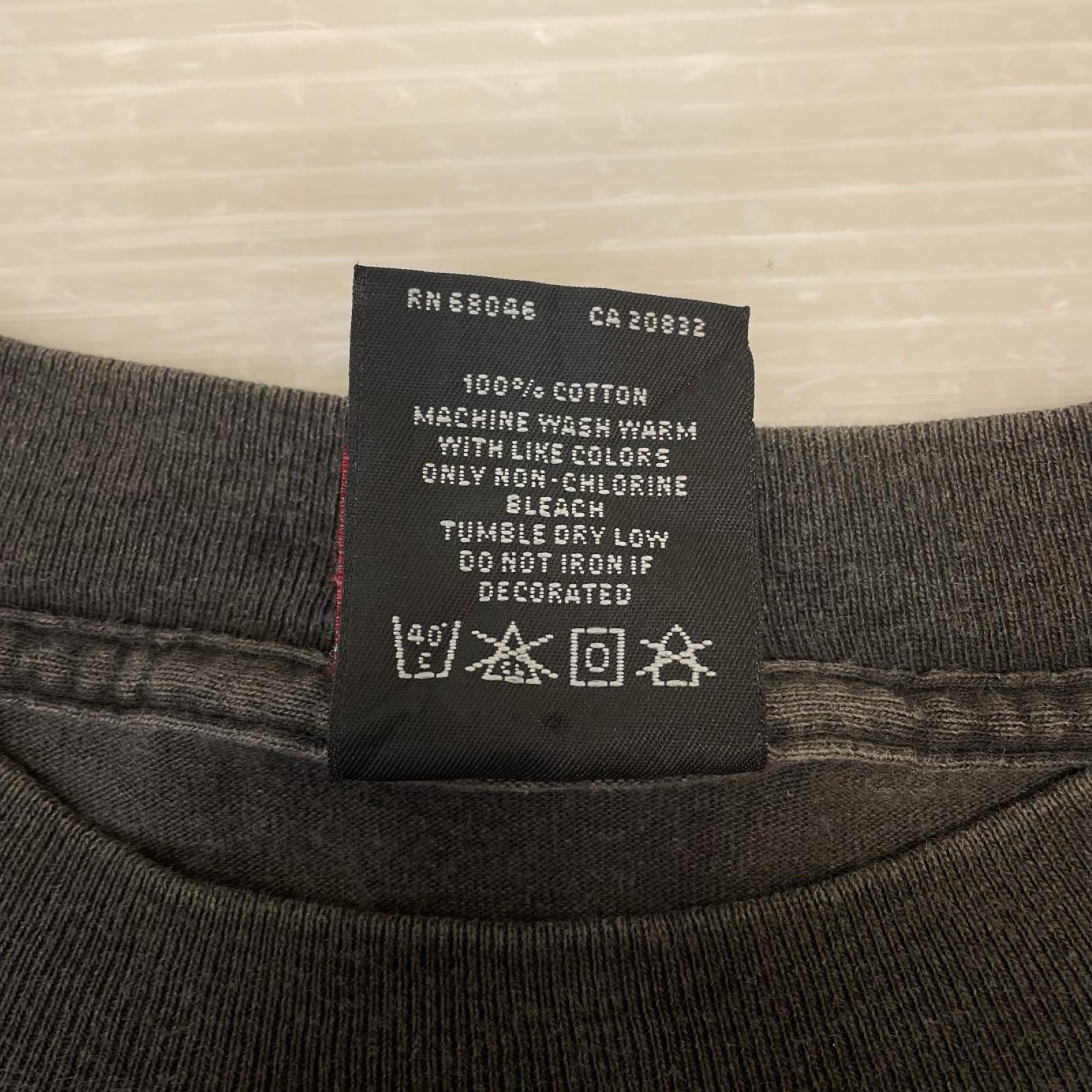 半袖Tシャツ 90s RED HOT CHILI PEPPERS ONE HOT MINUTE PIANO 95年 バンドTee XL 1995年 giantタグ LL ブラック