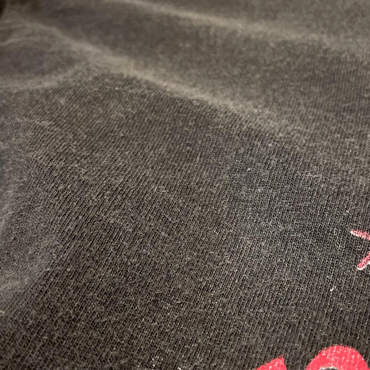 半袖Tシャツ 90s RED HOT CHILI PEPPERS ONE HOT MINUTE PIANO 95年 バンドTee XL 1995年 giantタグ LL ブラック
