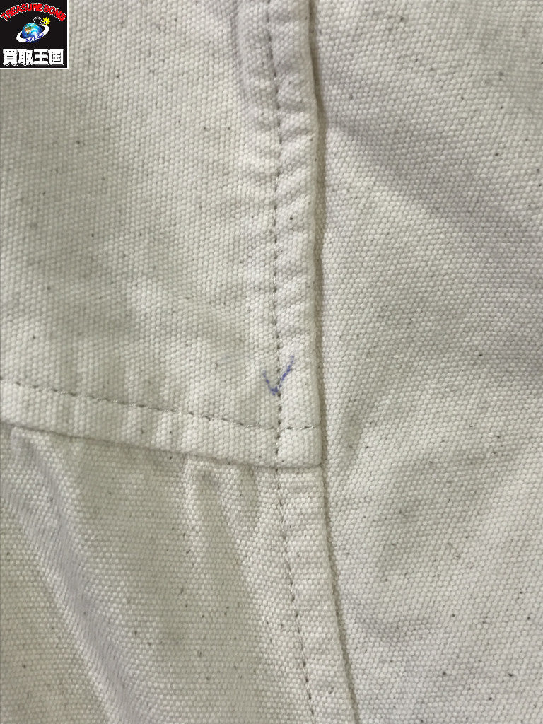 半袖シャツ 20SS MALFILE SELVEDGE CANVAS (38)