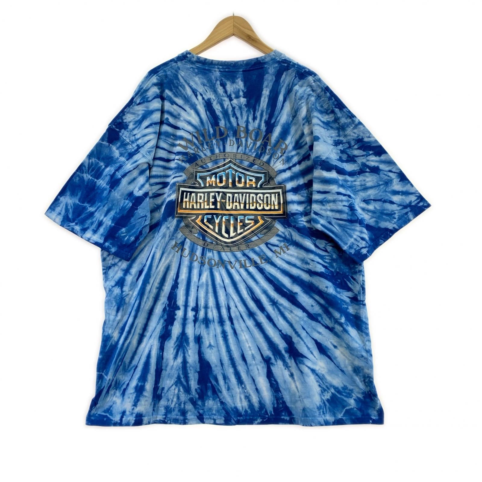 その他トップス Harley-Davidson 00s タイダイ ロゴプリント 青 (2XL)