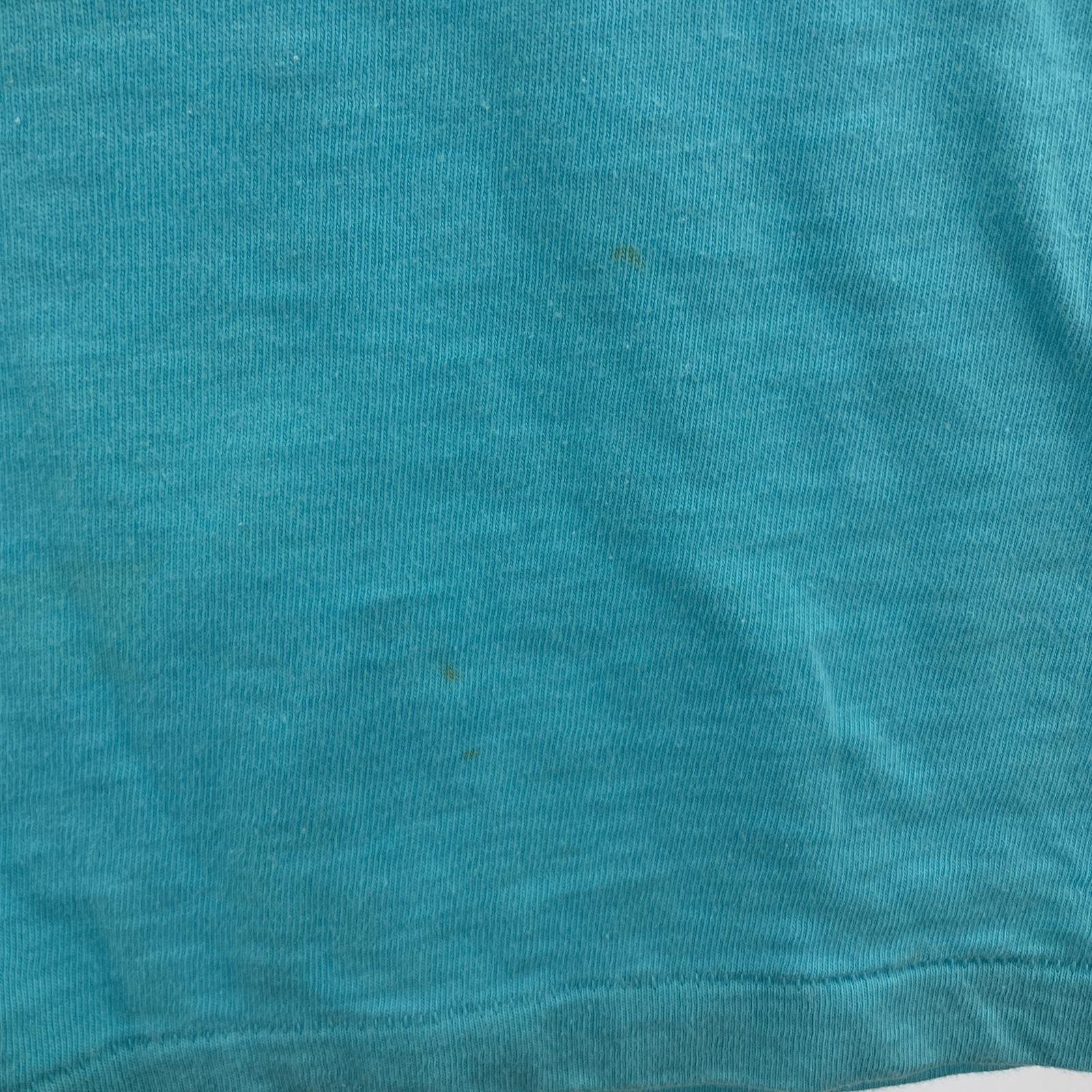 半袖Tシャツ ONEITA 80s~90s USA製 水色 (L) L ブルー