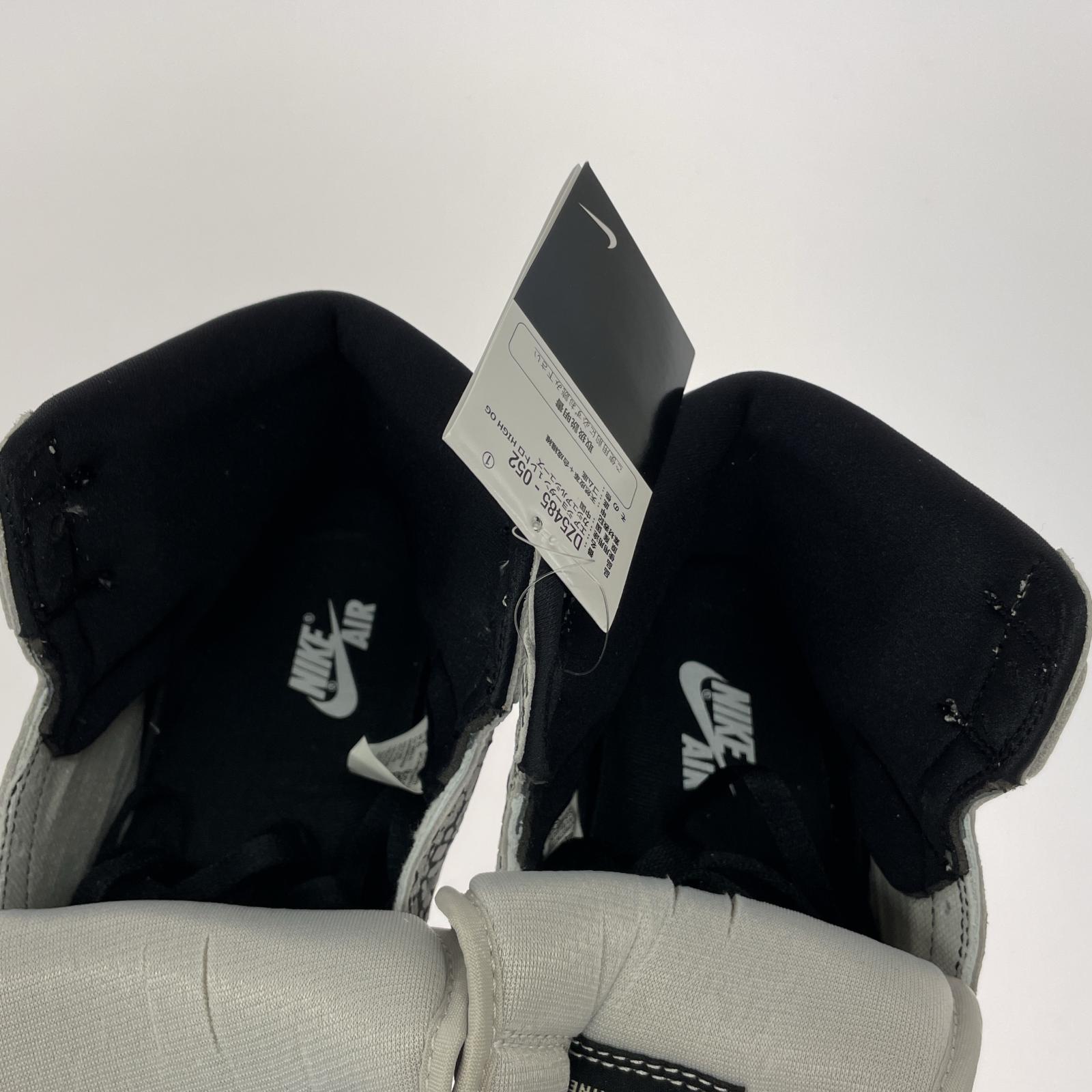 スニーカー AIR JORDAN 1 RETRO HIGH OG/29.0cm 29cm (US11 UK10 1/2 EU48)