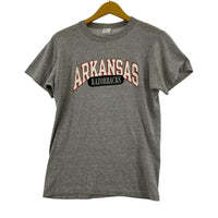 半袖Tシャツ 80s USA製 ARKANSAS M M グレー