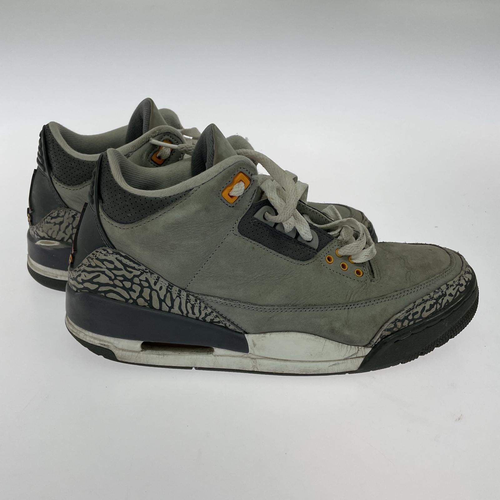 スニーカー Air Jordan 3 27.5㎝ 27.5cm (US9 1/2 UK9 EU45) グレー