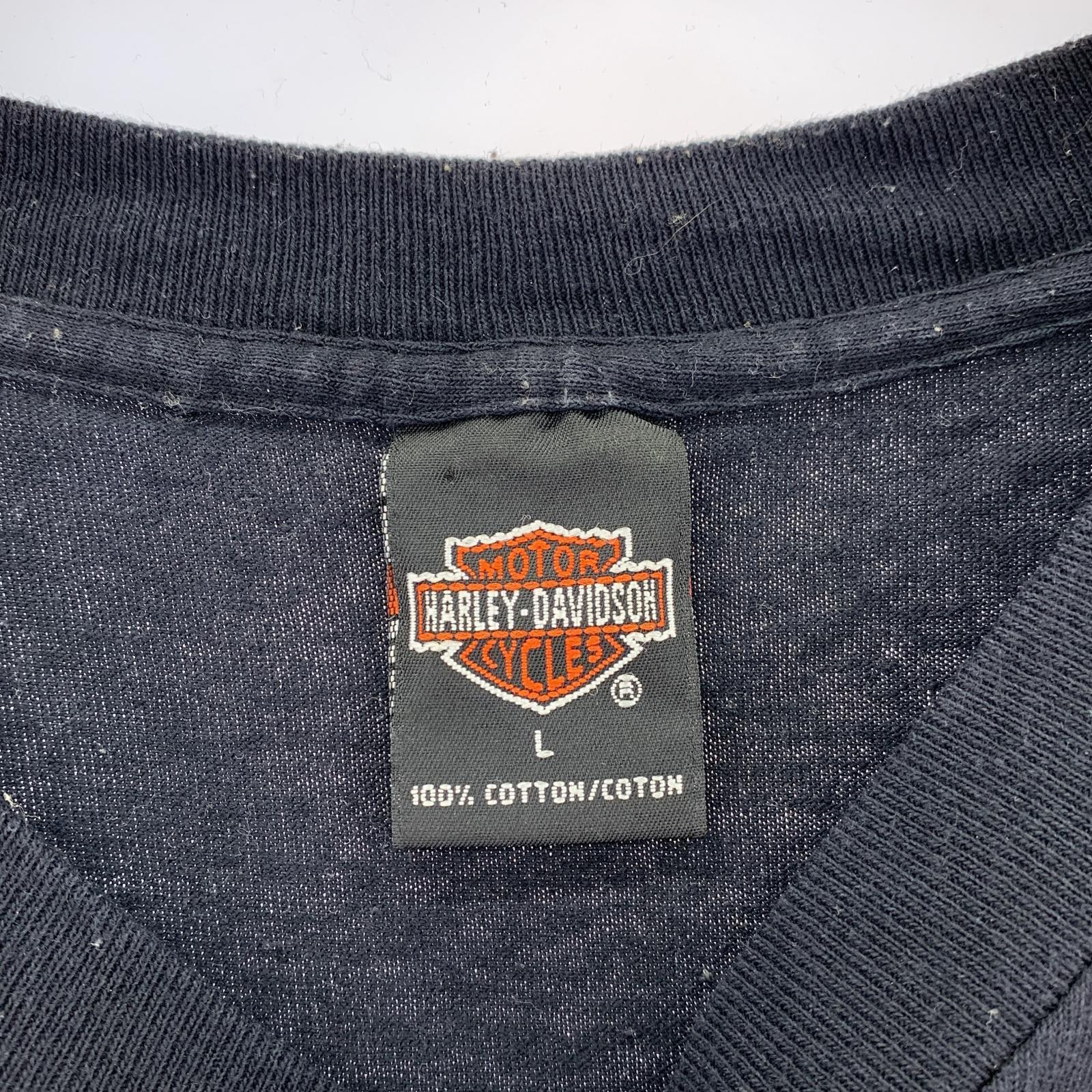 半袖Tシャツ 97年 USA製 S/S国旗プリントTee (L) L ブラック
